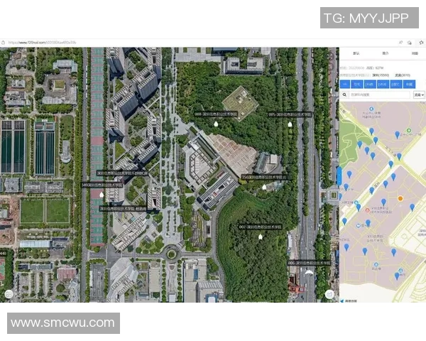 深圳排球队技术揭秘：从基础训练到战术运用的全景分析