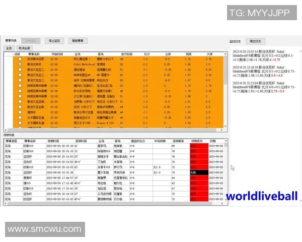 武汉足球队速度表现的数据分析与战术优化研究