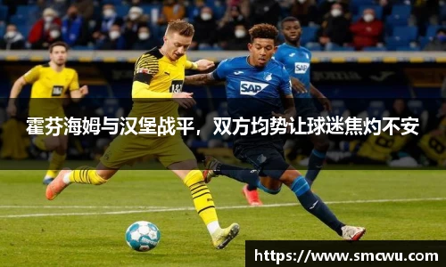 霍芬海姆与汉堡战平，双方均势让球迷焦灼不安
