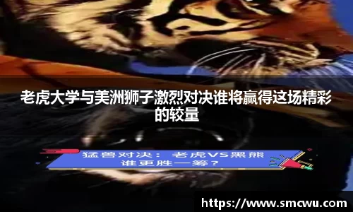 Mk体育